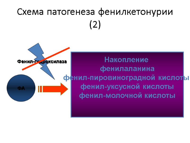 Схема патогенеза фенилкетонурии (2) ФА Накопление  фенилаланина фенил-пировиноградной кислоты  фенил-уксусной кислоты фенил-молочной